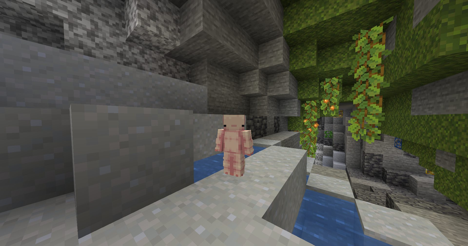 [Origin]: Axolotl