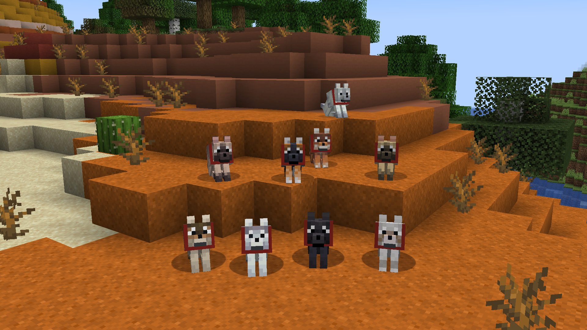 Backported Wolves