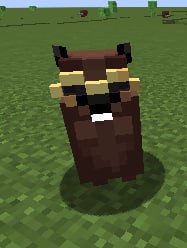 Beaver!