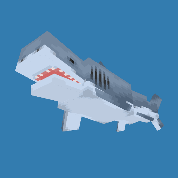 Ben's Sharks