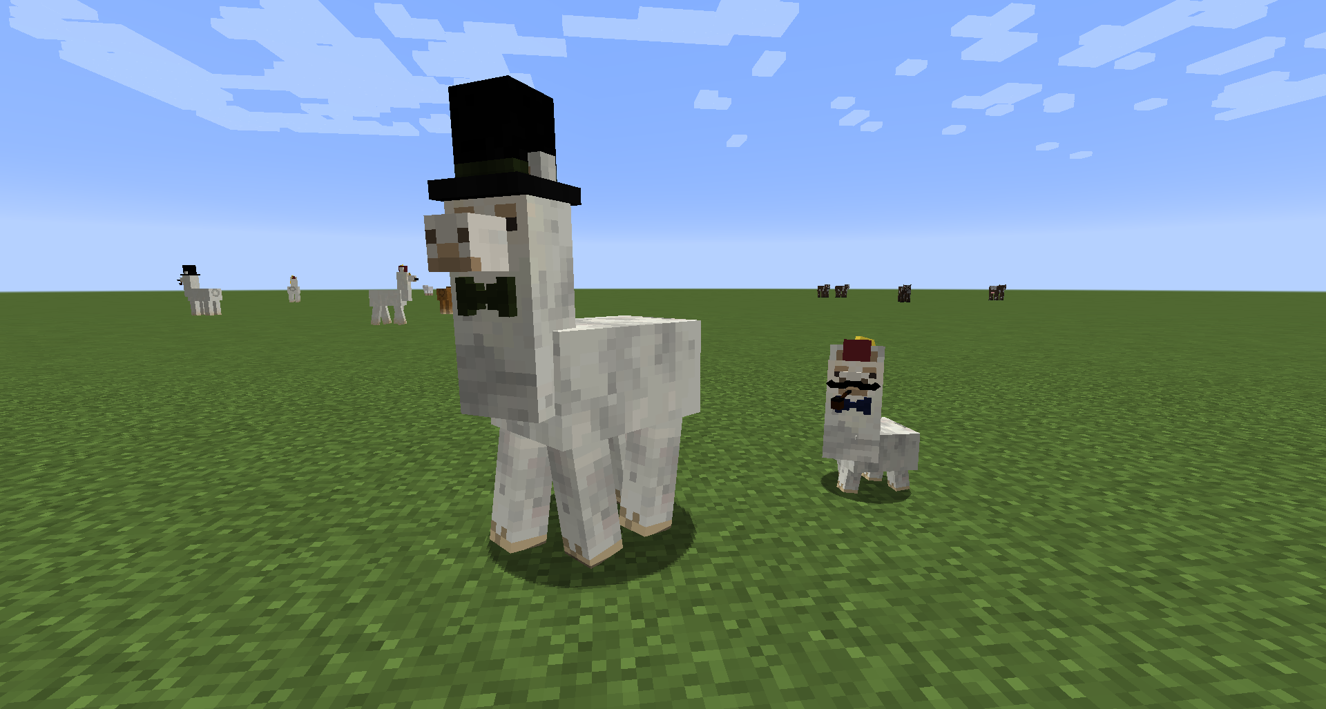 Better Than Llamas