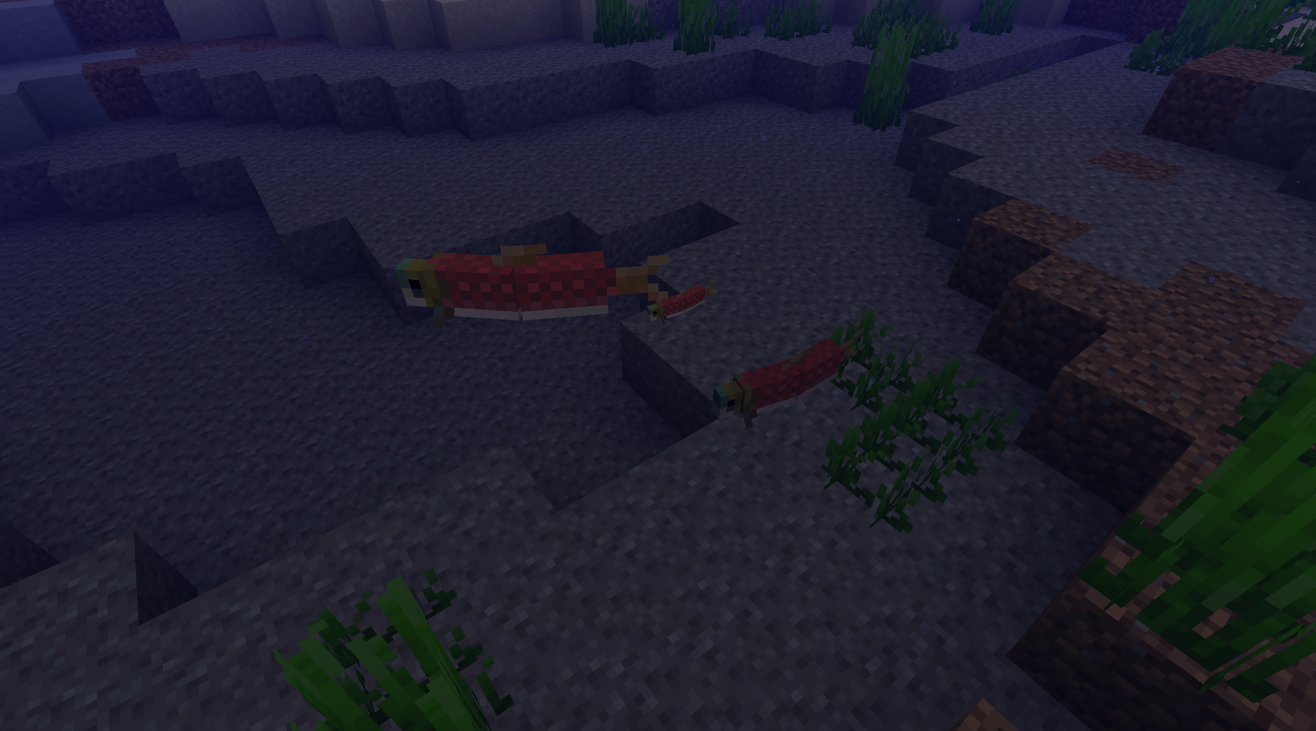 Big Salmon