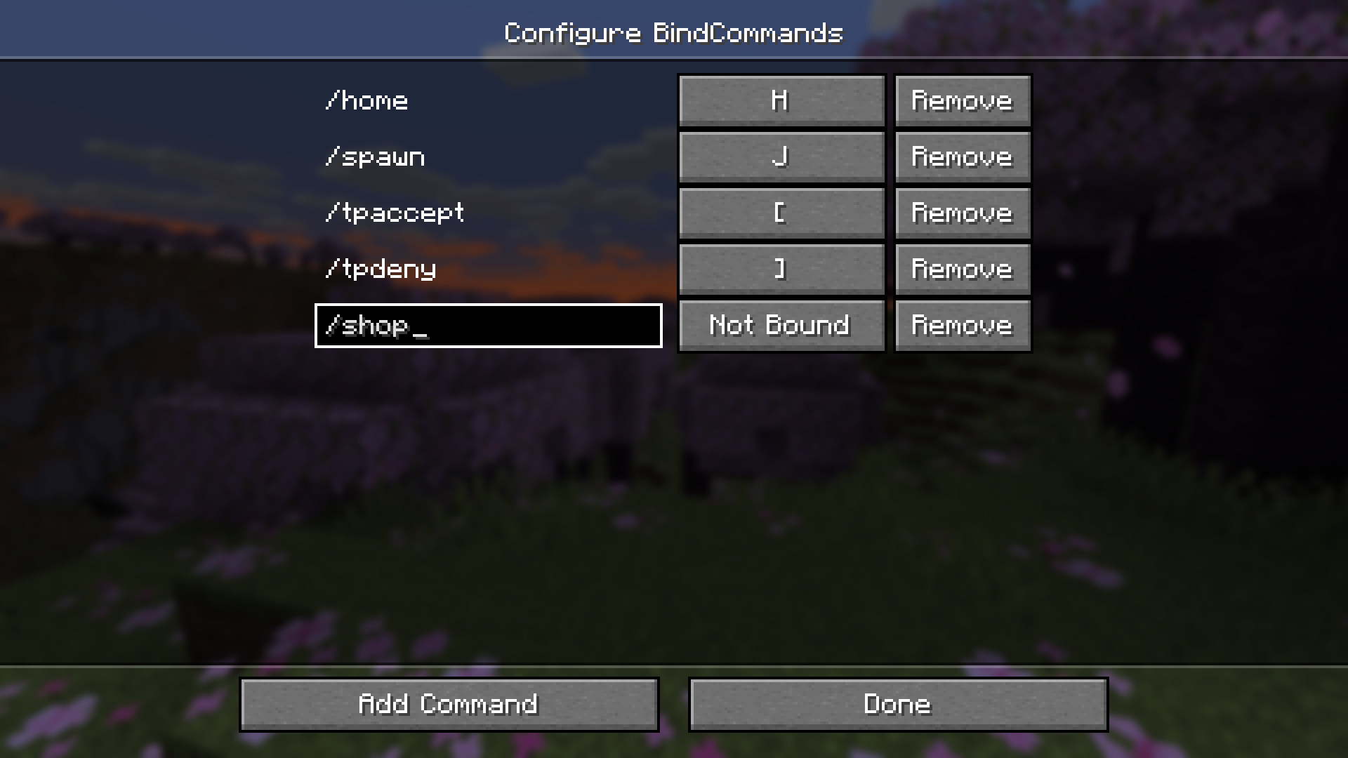 BindCommands