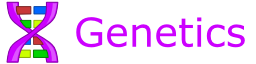 Binnie's Mods Patched