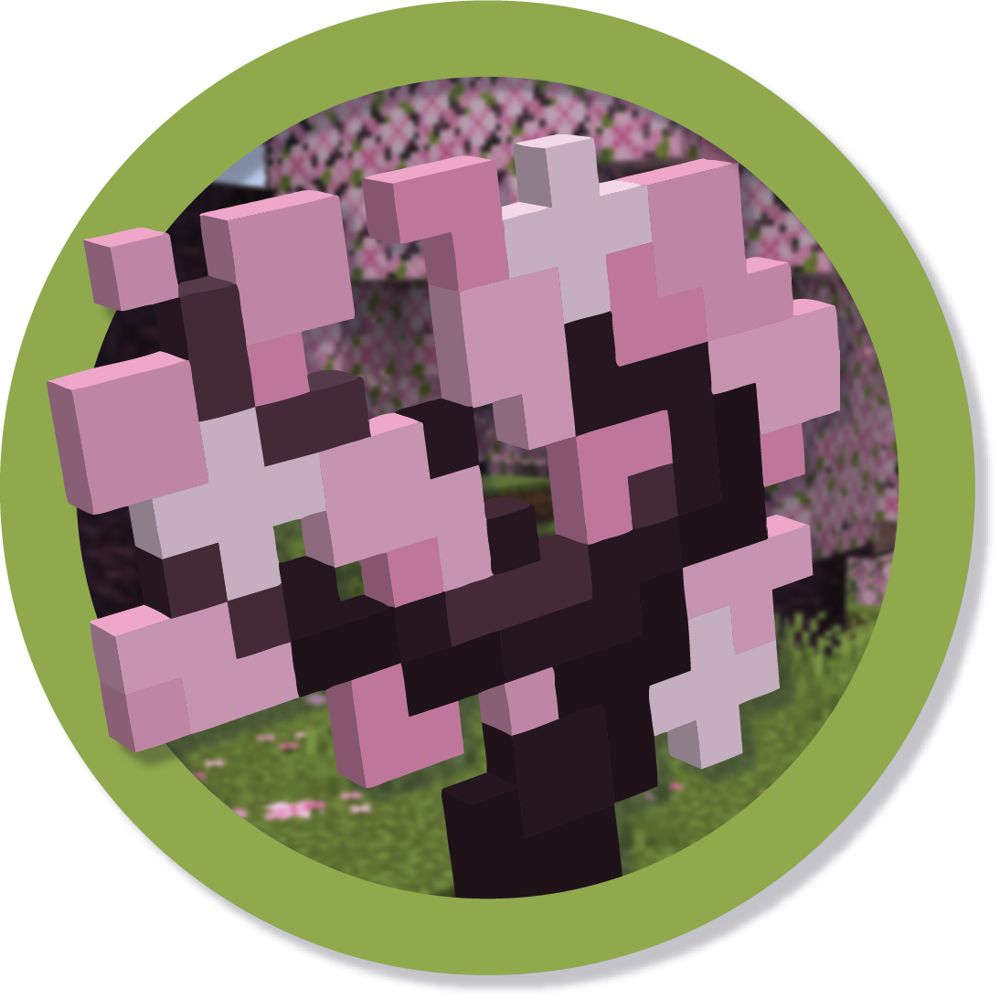 Biome Backport (Some 1.20 Features)
