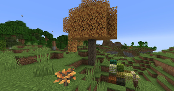 Blockus