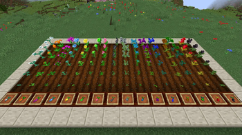 Botania Seeds