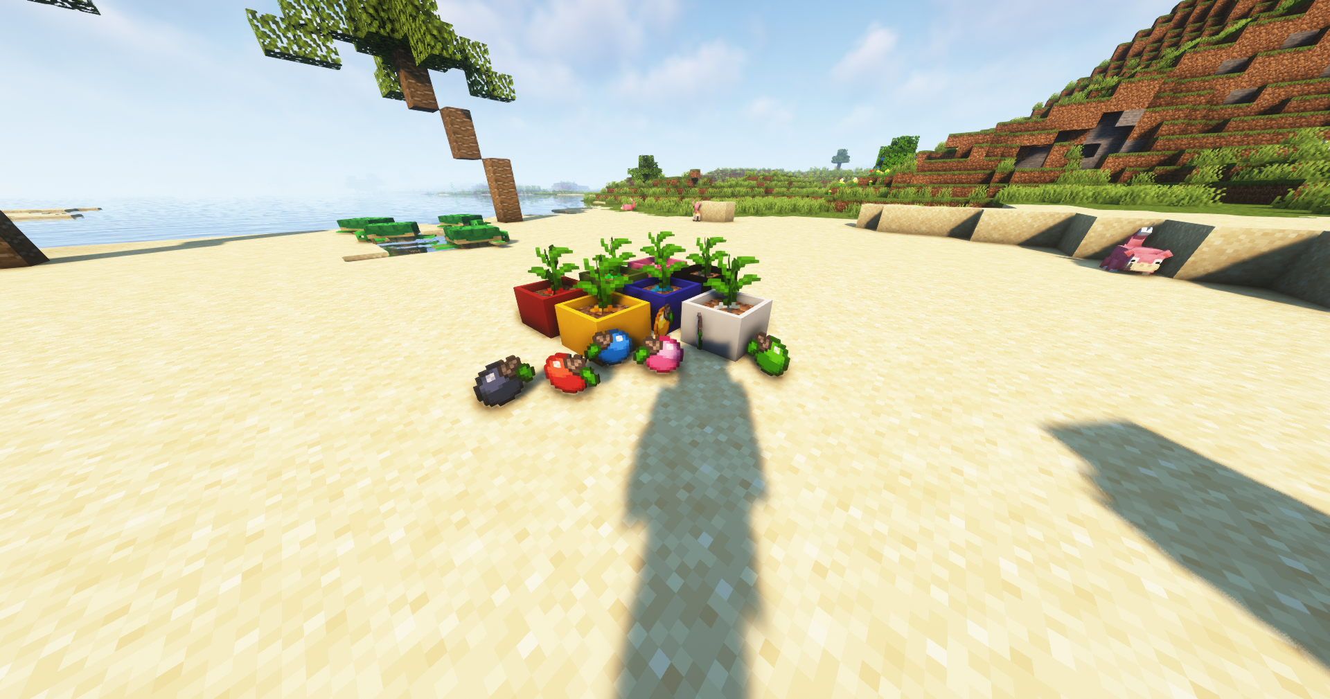 BotanyApricorns