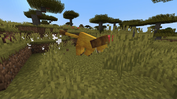 Bountiful Critters