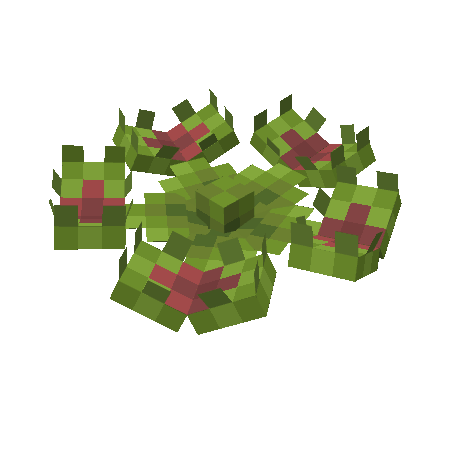 Broglis Plants