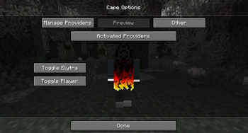 Cape Provider