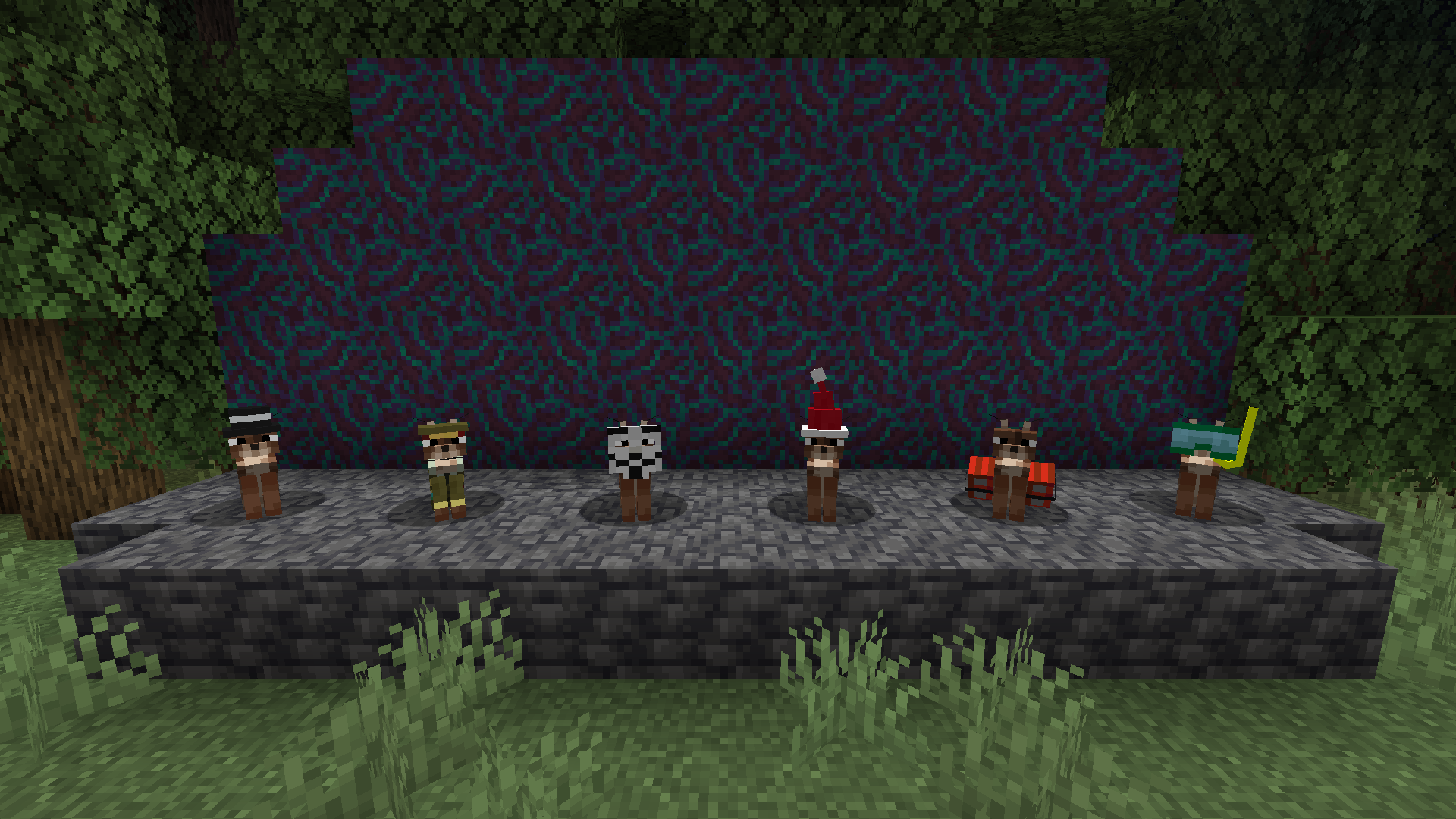 Caracal mob
