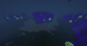 Chicky's Fester Forest