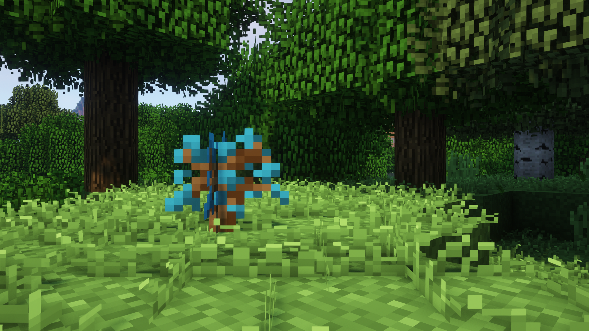 Chromatic Foliage