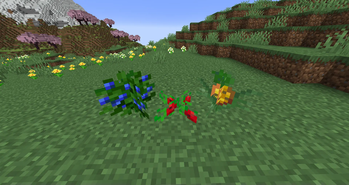 Cinchcraft