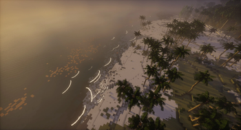 Coastal Waves