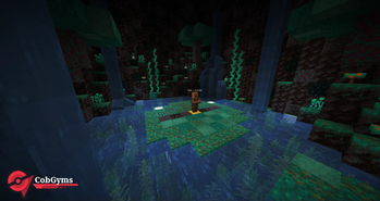 CobGyms - Unofficial Cobblemon Gyms
