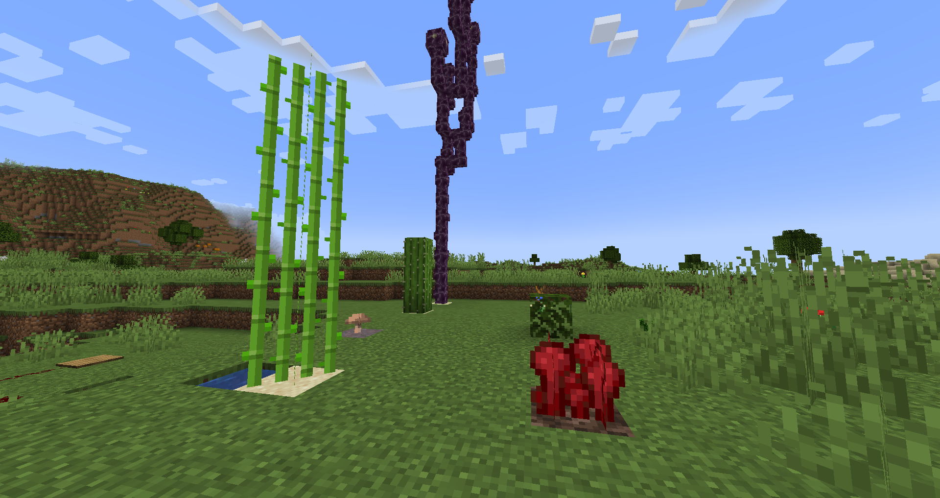 Complete Bone Meal