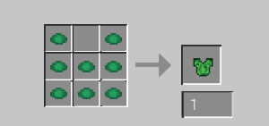 Complete Turtle Armor