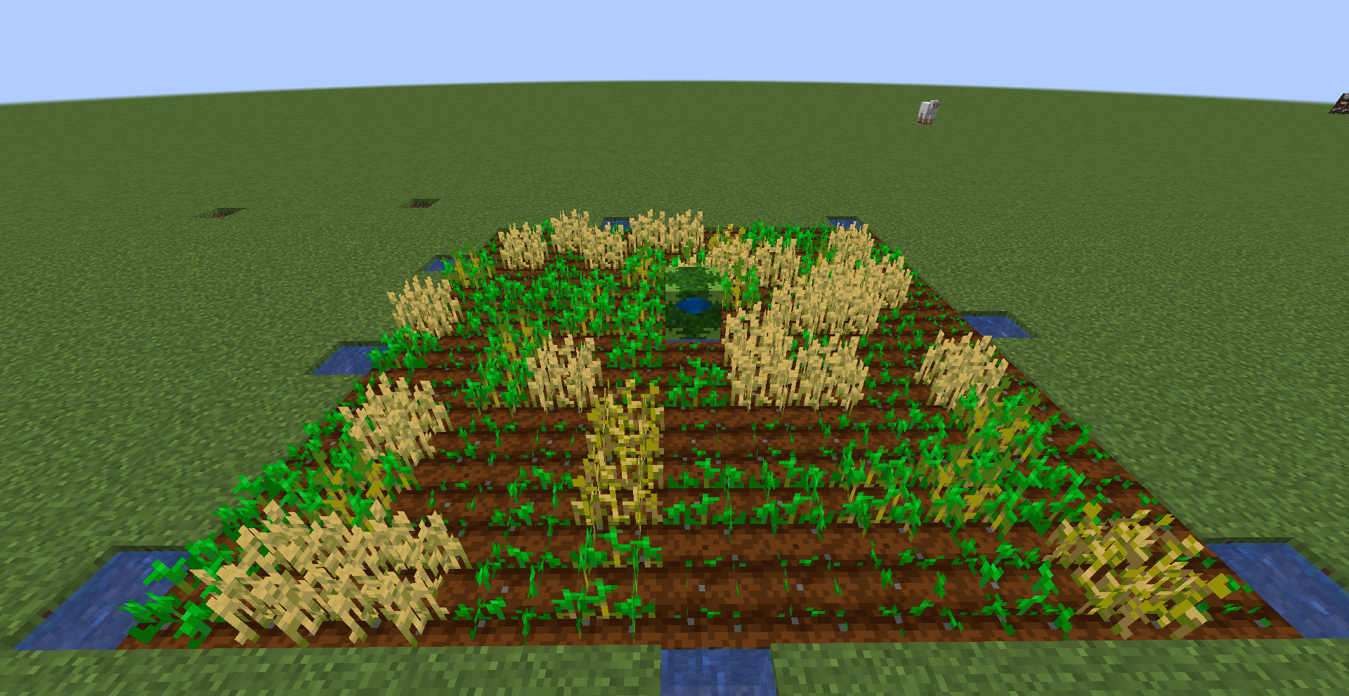 Compressed Leaves