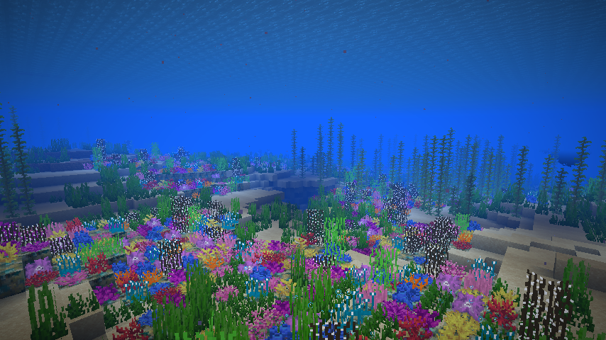 coralreef
