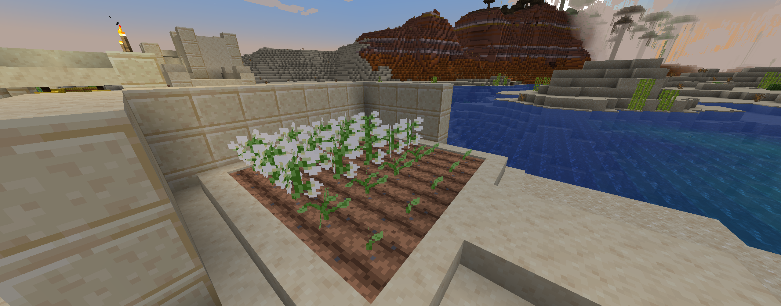Cotton