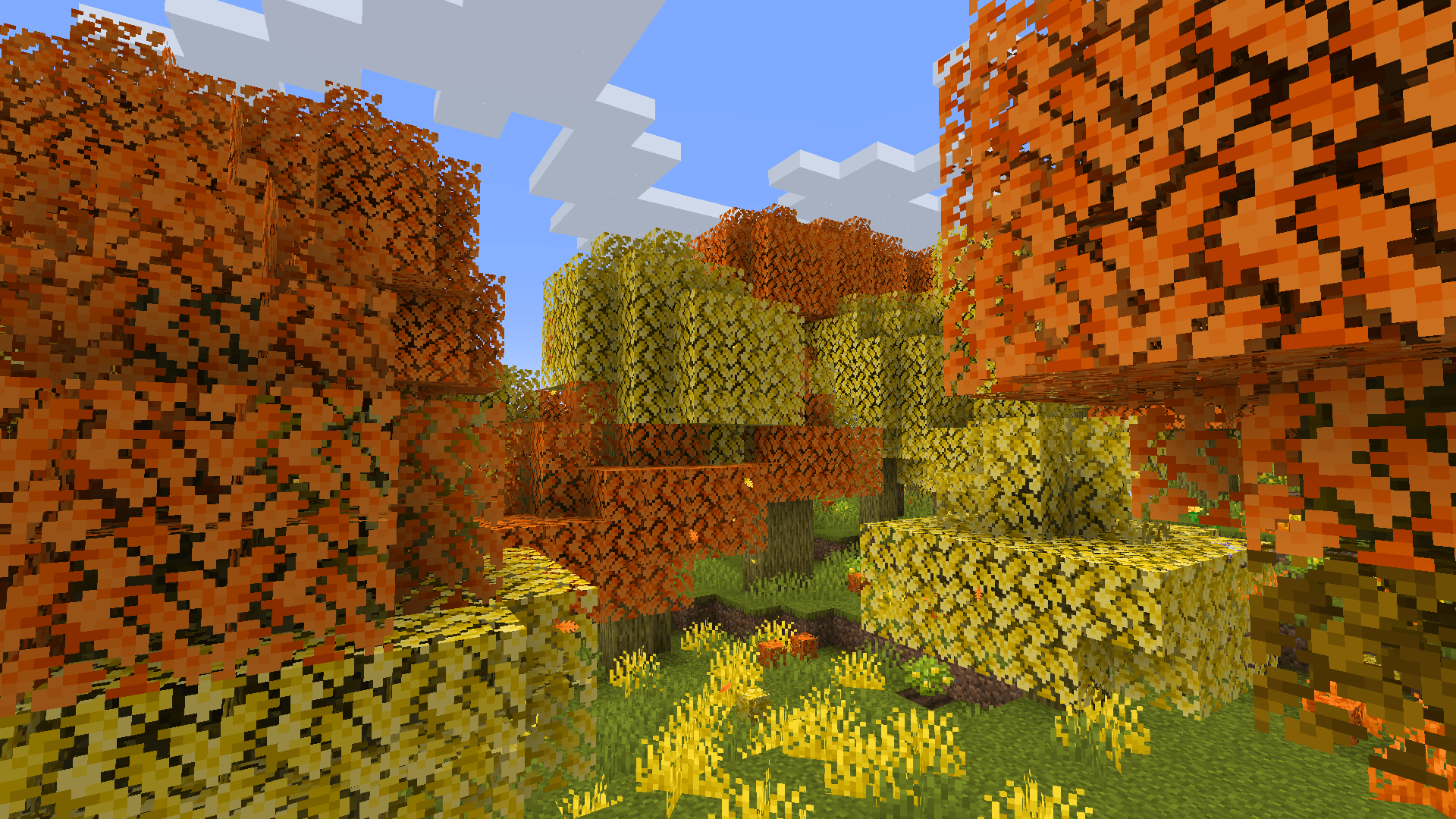 Cubeberries