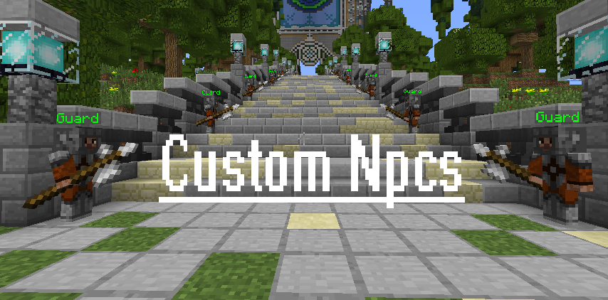 Custom NPCs