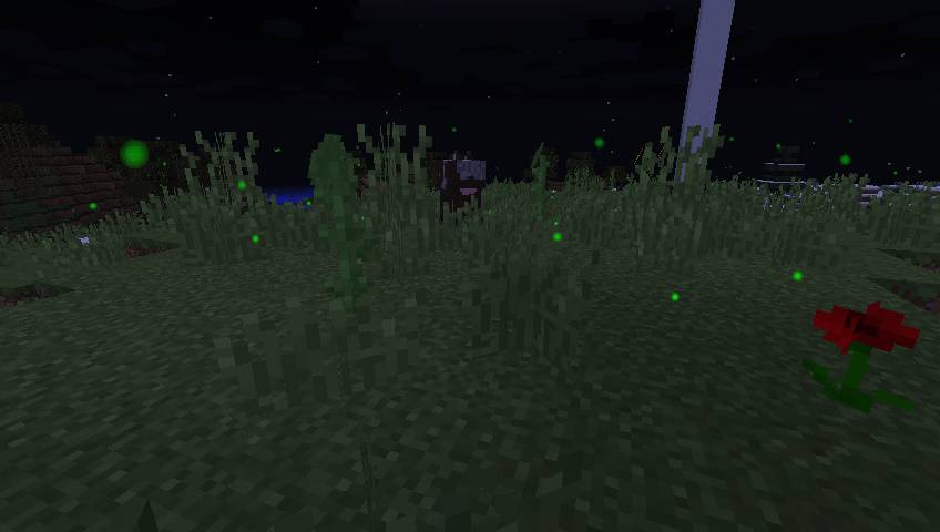 Custom Particles