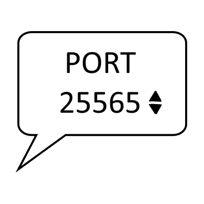 Custom LAN Ports