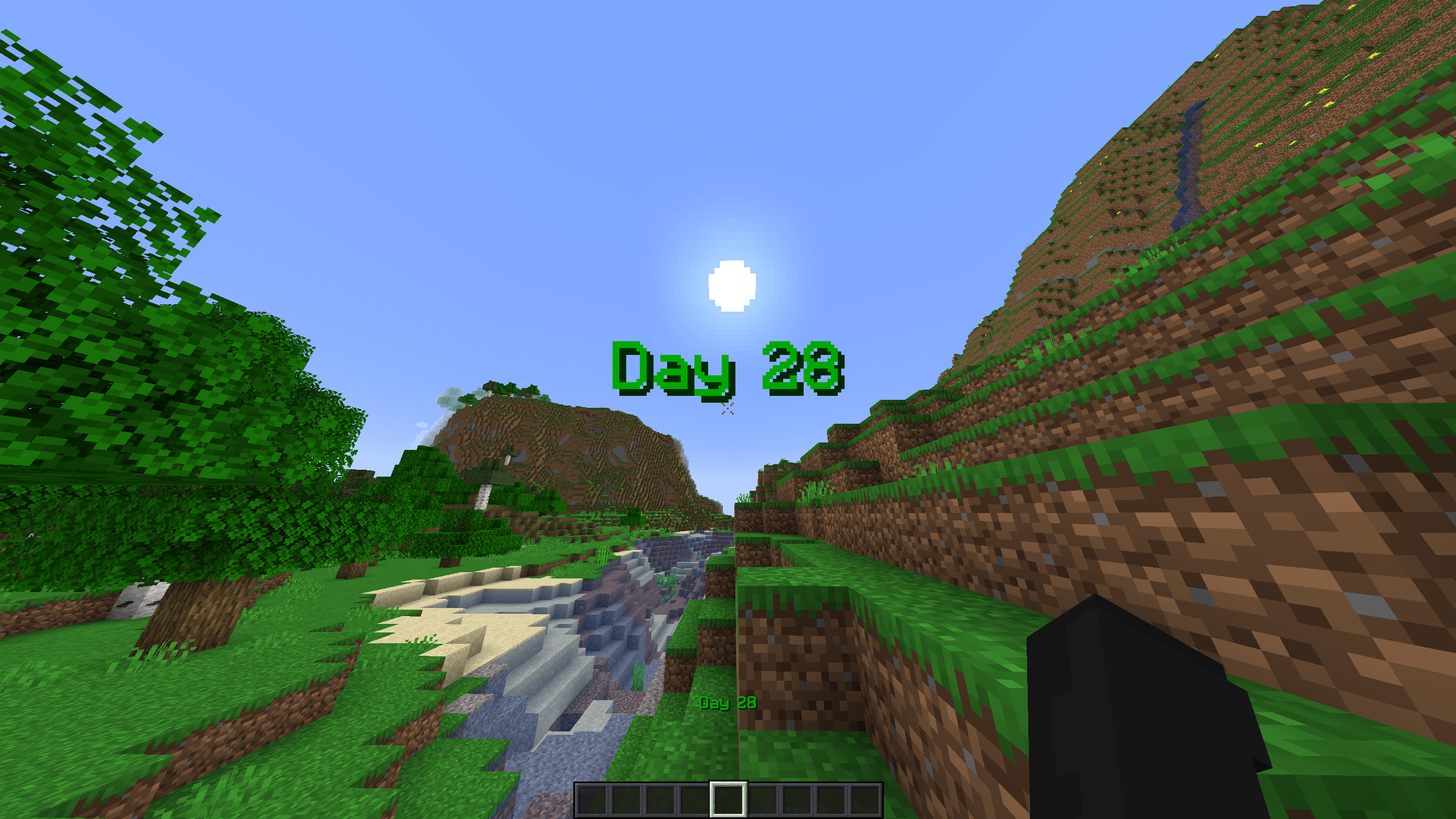 Day Counter