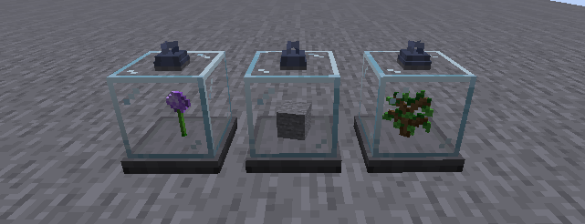 Display Case
