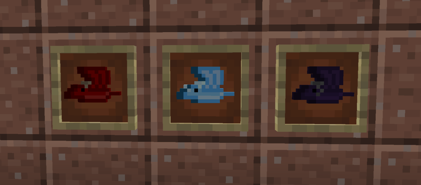 Dragons And Pets