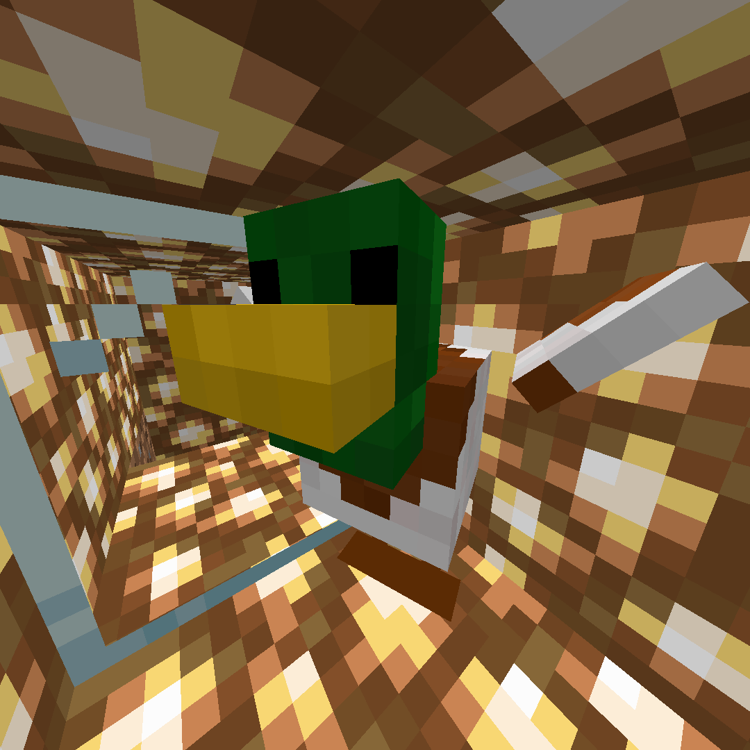 Duck