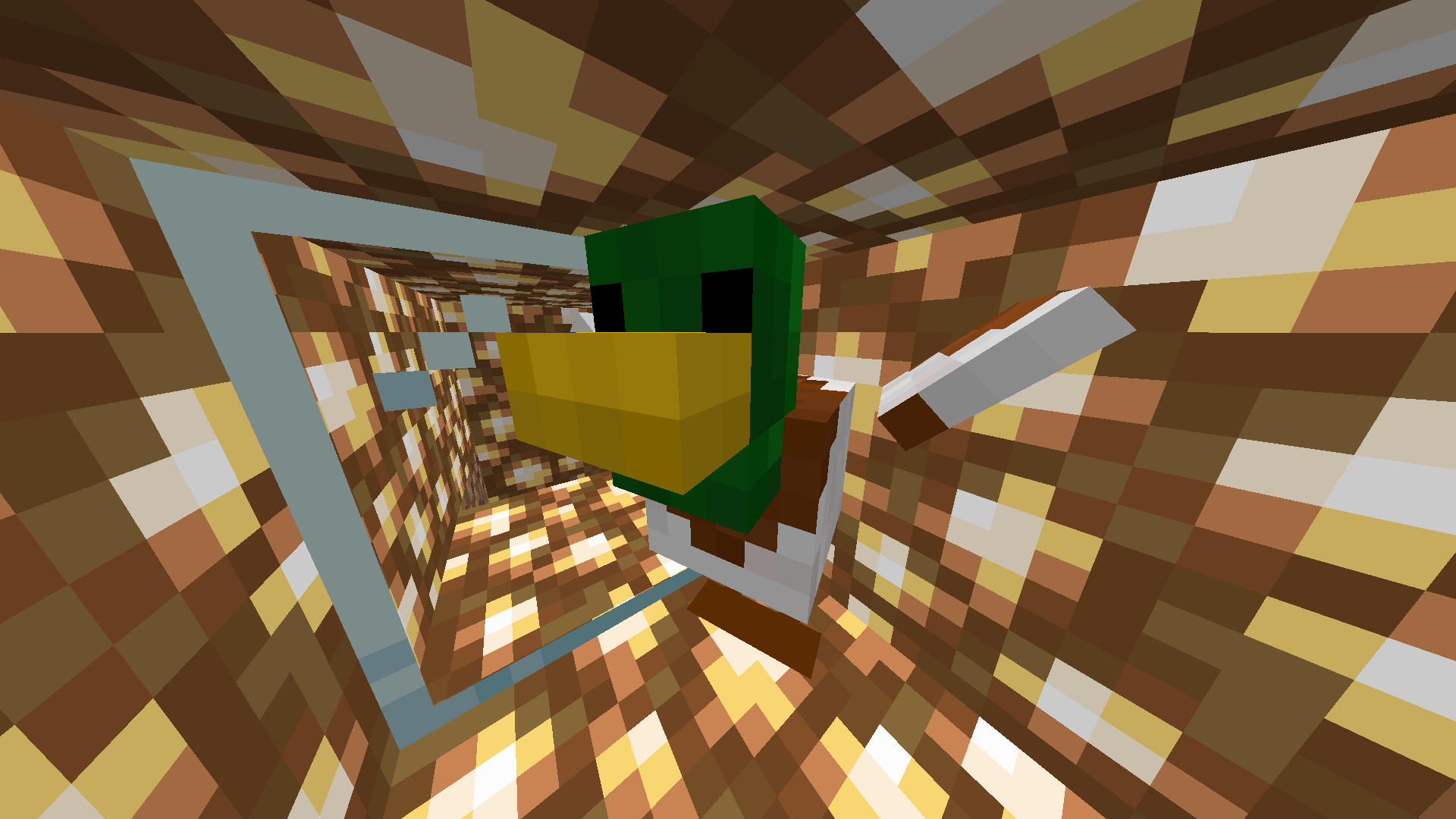 Duck