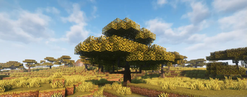 Dynamic Trees - Arts and Crafts