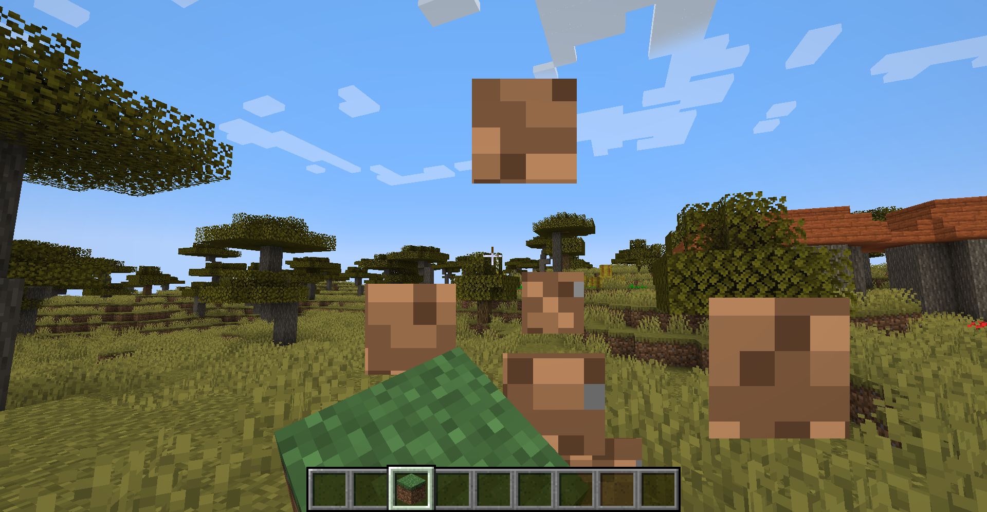 Edible Blocks