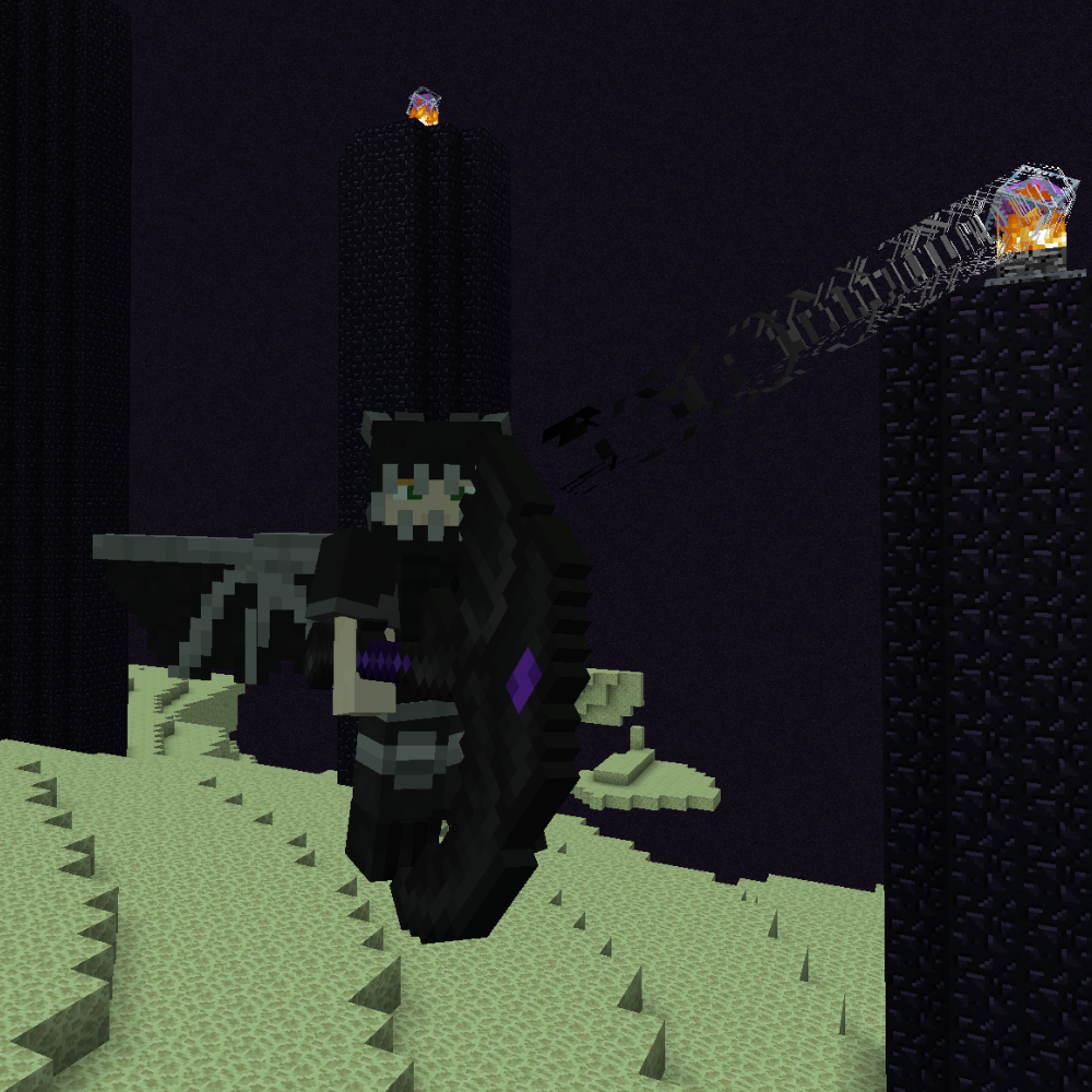 Ender Dragon Suit