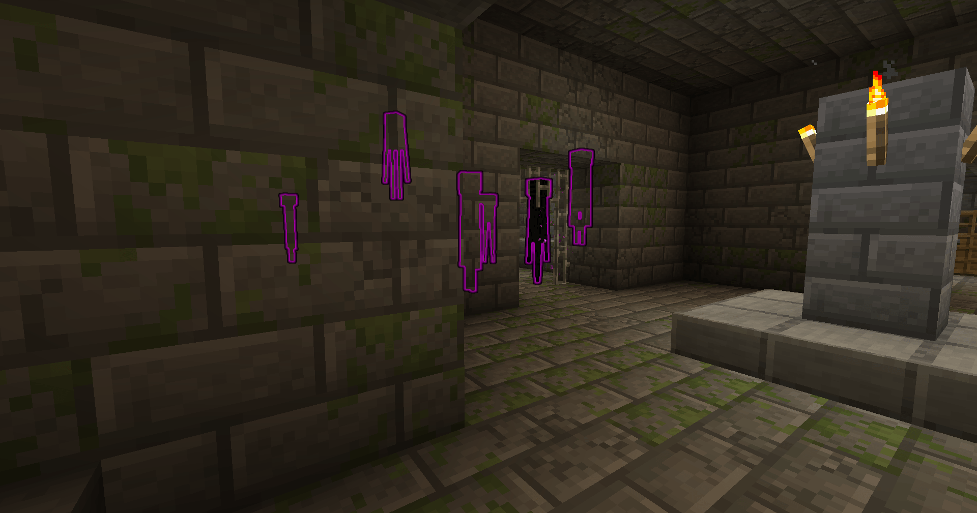 Ender Sight