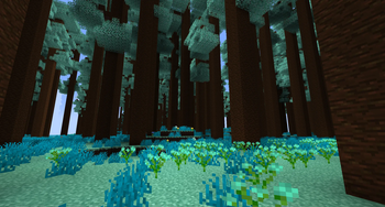 Endless Expansion
