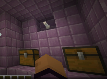 End Ship Elytra Nuker