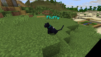 Enhanced Cats
