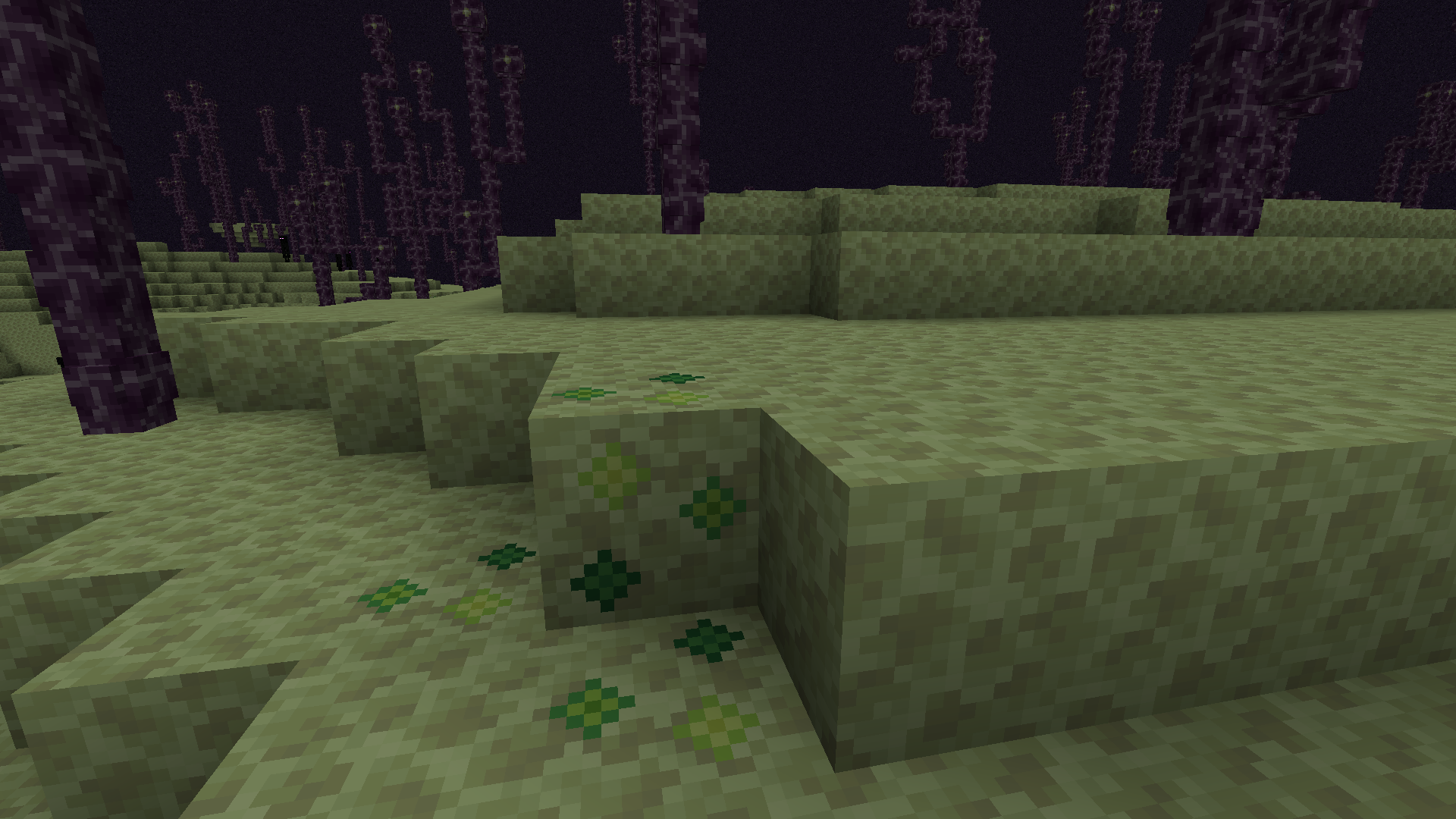 Exp Ores