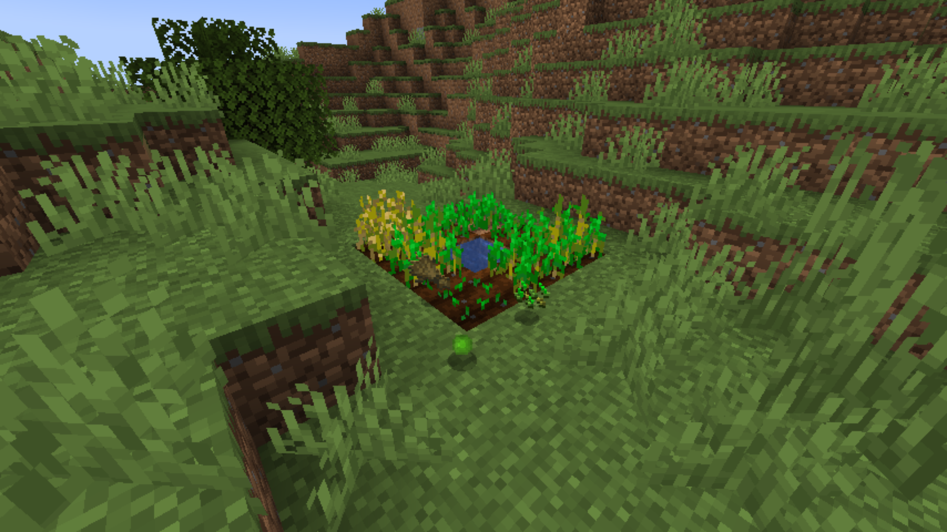 Experienced Crops