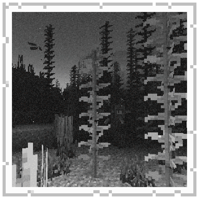 Exposure: Polaroid