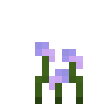 extra flowers