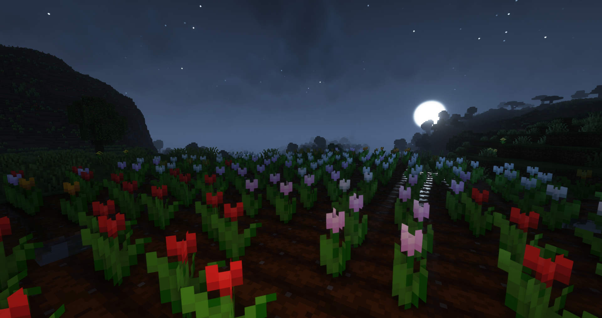 Fabulous Flowers
