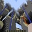 FarLands