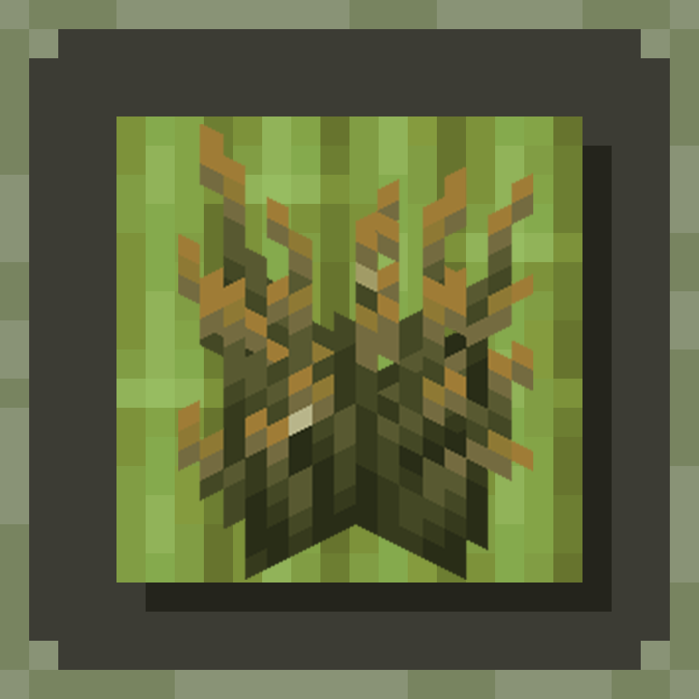 Firefly Bush