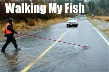 Fish on a Leash!